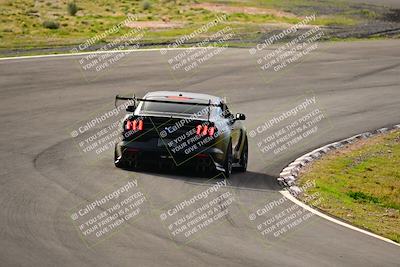 media/Feb-25-2024-Speed Ventures (Sun) [[b9a2a97a4d]]/Mustang Drivers Club/Session 1 (Turns 4 and 5)/